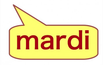 EXPERT - SENIOR MIXTE x 2