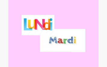 EXPERT - SENIOR OPEN x 4